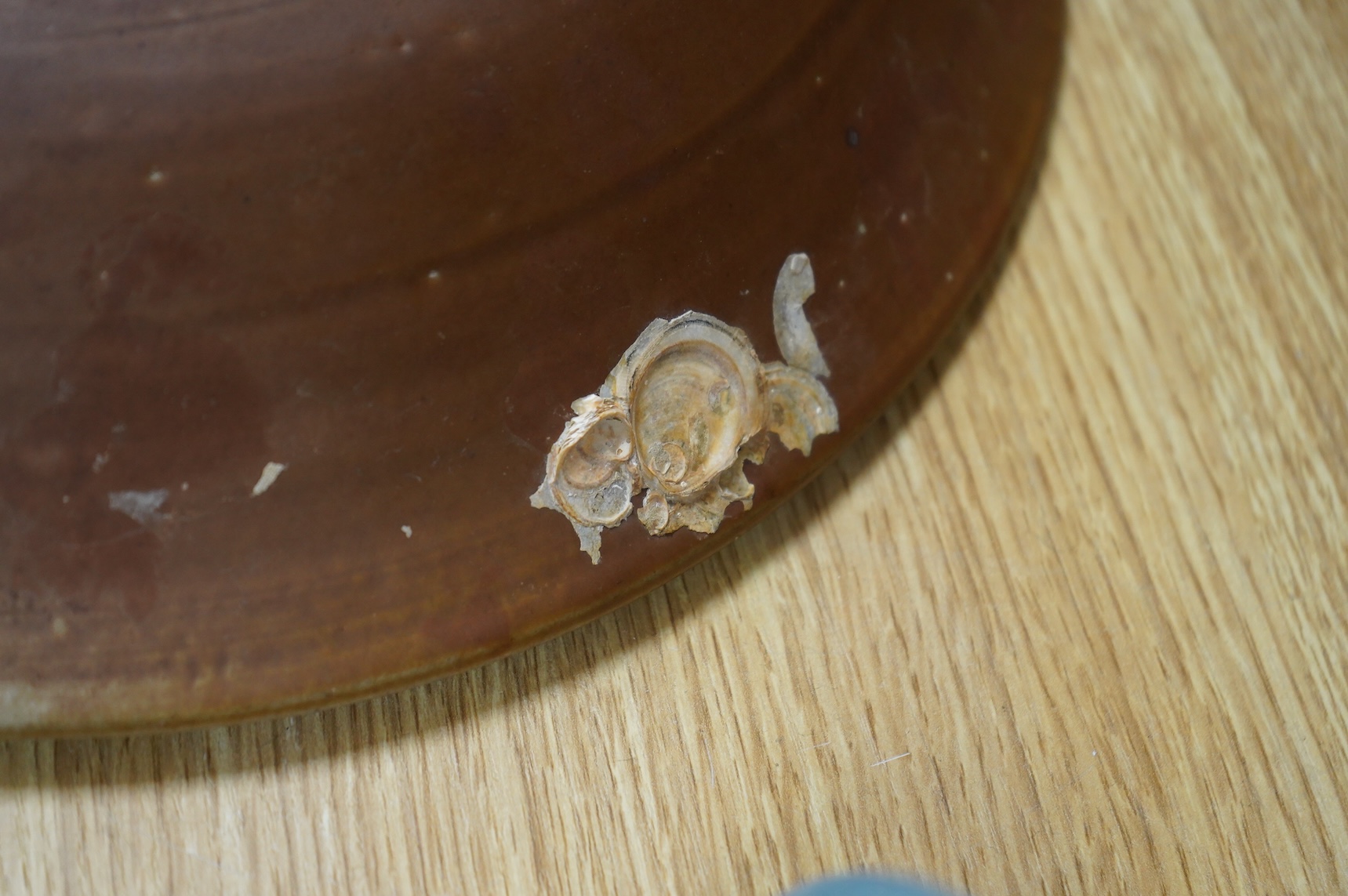 A Chinese late Ming iron brown glazed 'dragon & lion' dish, from a shipwreck, 35cm